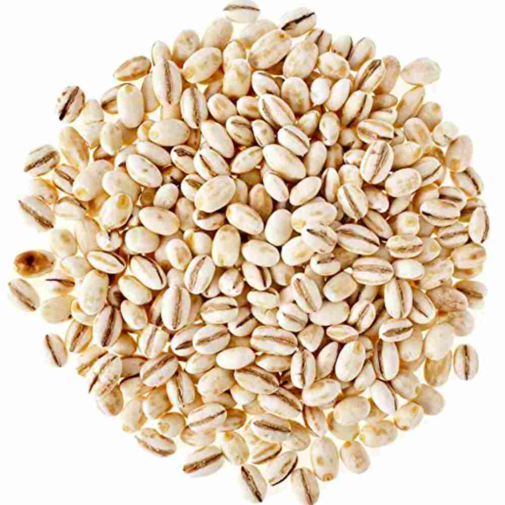 Barley