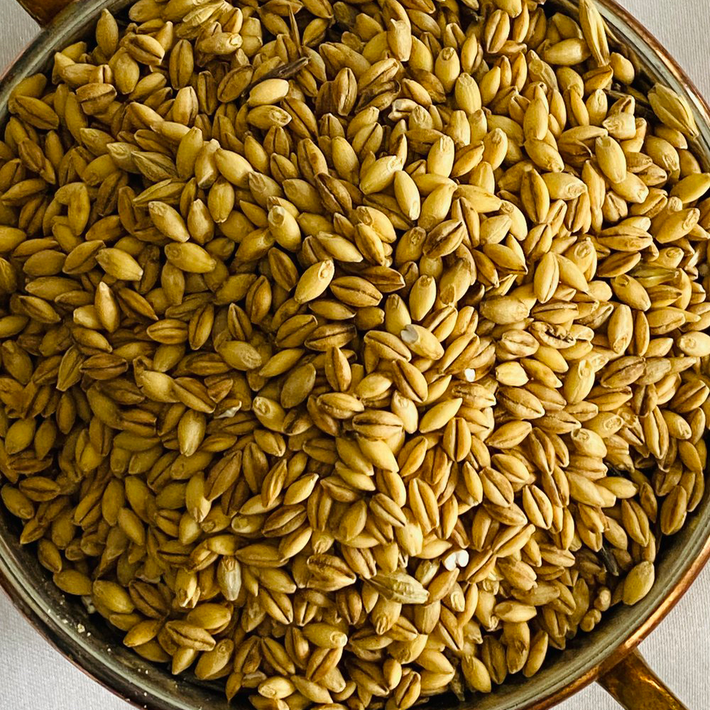 Hulled Barley