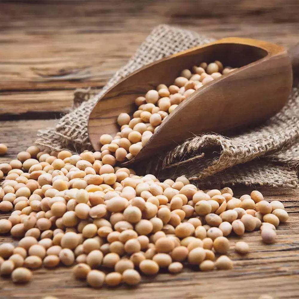 Soya Beans